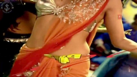 Hottest actress, gonzo, saree ass